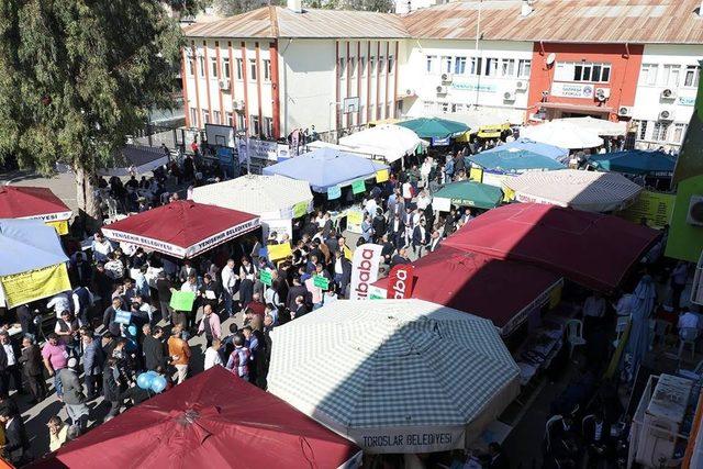 MTSO, meslek komitelerini ve meclis üyelerini seçiyor