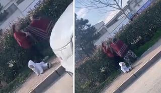 Dilenci kadınların kavgası kamerada