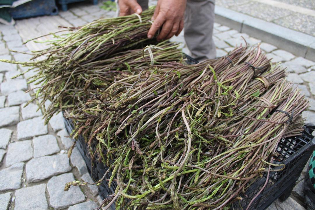 Toprakta kendiliğinden &ccedil;ıkıyor! En sağlıklı otlar arasında: Eklem ağrılarına birebir 2