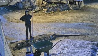 Bir bidon s&uuml;t&uuml; deviren gencin &ccedil;aresiz anları kamerada