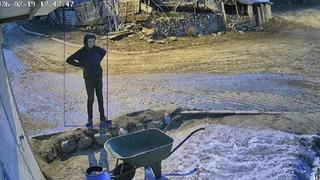 Bir bidon sütü deviren gencin çaresiz anları kamerada