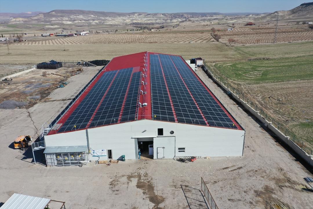 İngilizce öğretmenliğini bırakıp tesis kurdu: Günde 2 ton üretiyor 4