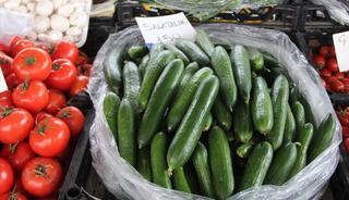 Muğla'da salatalık rekor fiyata ulaştı! Sebebi ise...