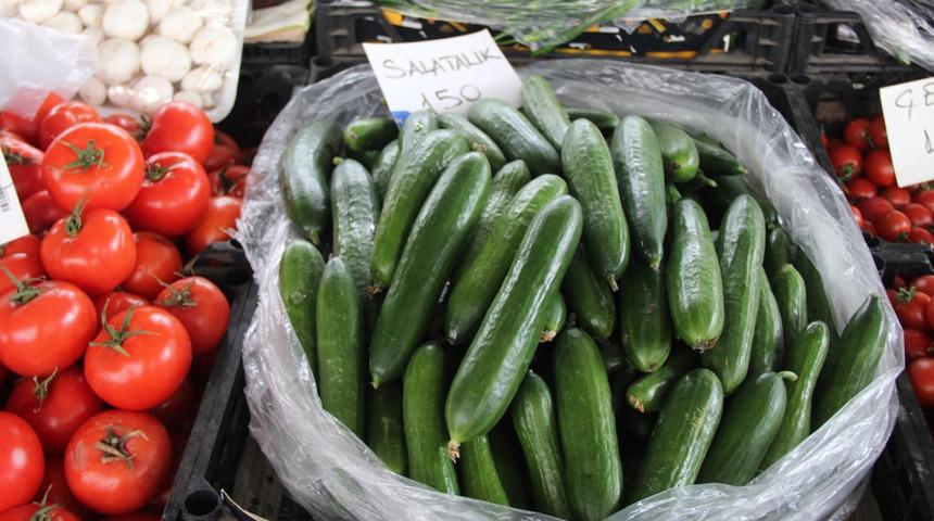 Muğla'da salatalık rekor fiyata ulaştı! Sebebi ise...