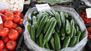 Muğla'da salatalık rekor fiyata ulaştı! Sebebi ise...