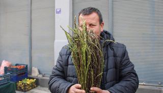 Halk arasında 'acı ot' diye biliniyor! Şifalı bitki pazara indi, bağı 150 TL'ye satılıyor
