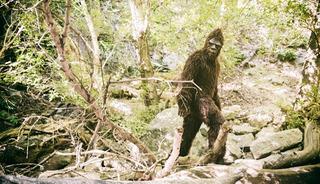 İngiltere paranormal olaylar: Kocaayak ve kara ruh vakası!