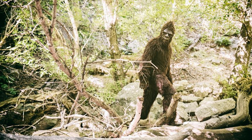 İngiltere paranormal olaylar: Kocaayak ve kara ruh vakası!