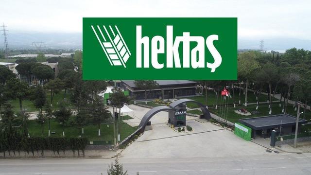 HEKTS (HEKTS)  07 Nisan Salı 2026: G&uuml;nl&uuml;k Teknik Hisse Analizi