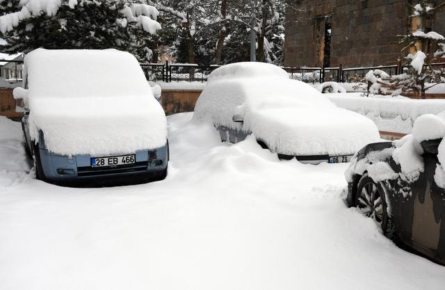 Erzurum, Ardahan, Tunceli, Kars ve Erzincan da kar etkili oldu 4