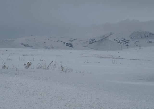 Erzurum, Ardahan, Tunceli, Kars ve Erzincan da kar etkili oldu 2