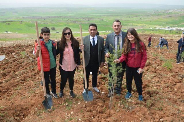 Ortaokul öğrencileri Yavuzeli’nde fidan dikti