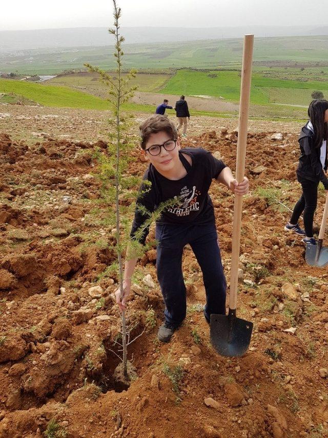 Ortaokul öğrencileri Yavuzeli’nde fidan dikti