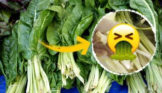 Pazardan pazı diye aldı, zehirli ot &ccedil;ıktı!