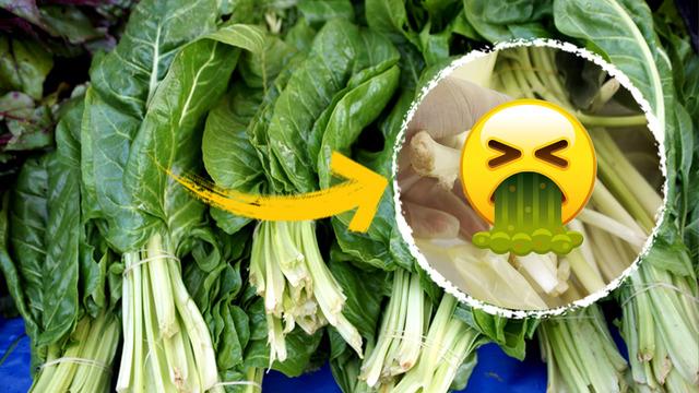 Pazardan pazı diye aldı, zehirli ot çıktı! Ağzına aldığı an hayatından oluyordu