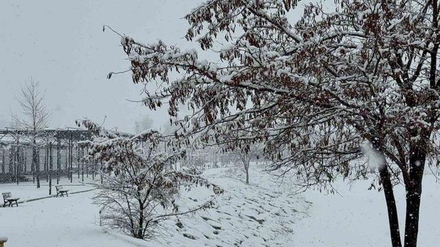 Tatvan’da kar yağışı 2