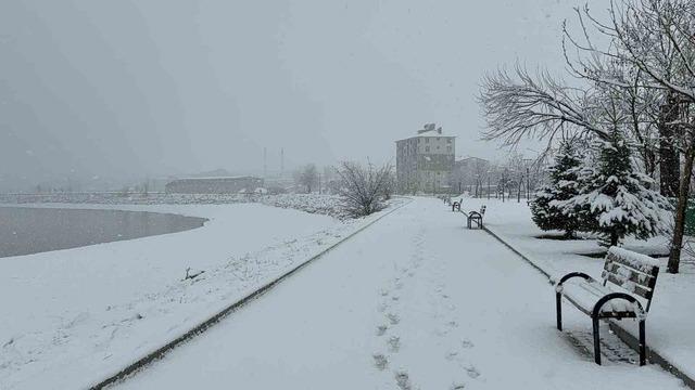 Tatvan’da kar yağışı 1