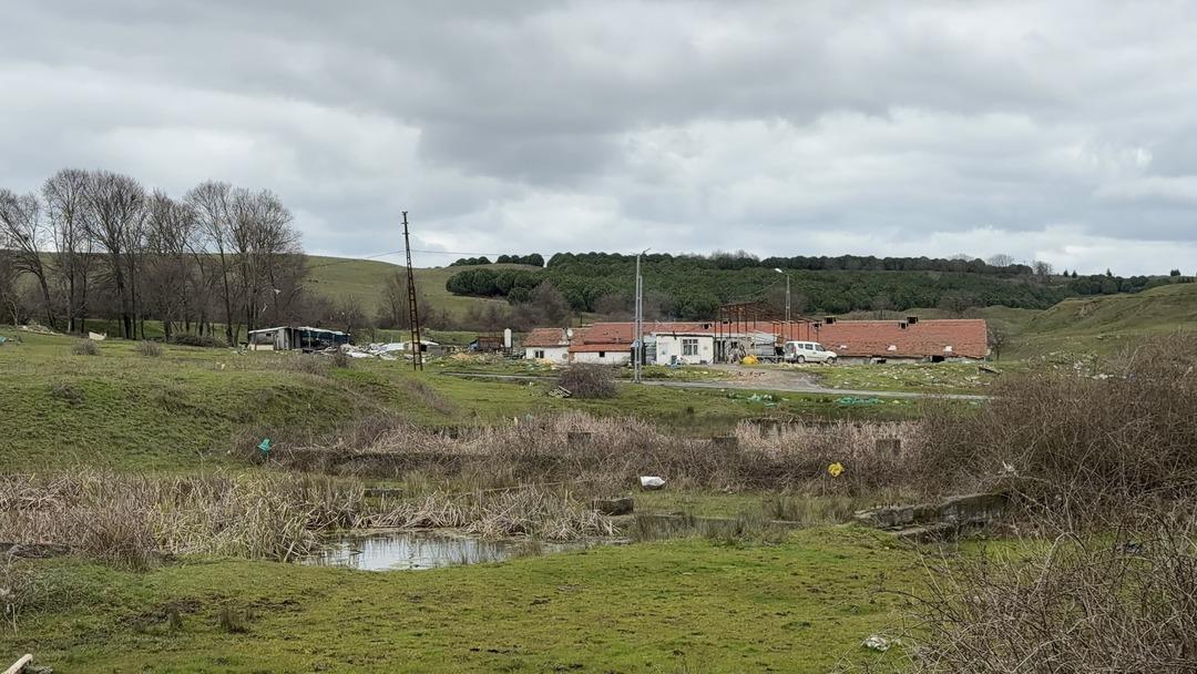 &Ccedil;iftlik evinde dehşet: Elektrikli testereyle saldırdı 1
