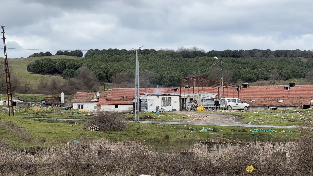 &Ccedil;iftlik evinde dehşet: Elektrikli testereyle saldırdı 2