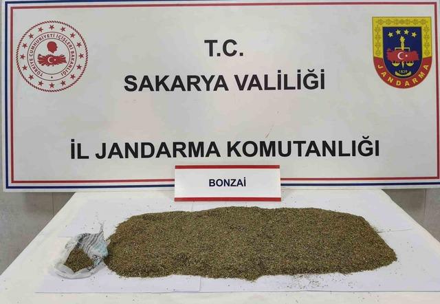 Jandarmadan uyuşturucu operasyonu: 1 tutuklama 1