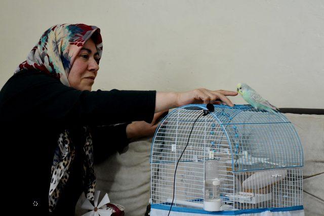 70 kelime konuşan muhabbet kuşu 2