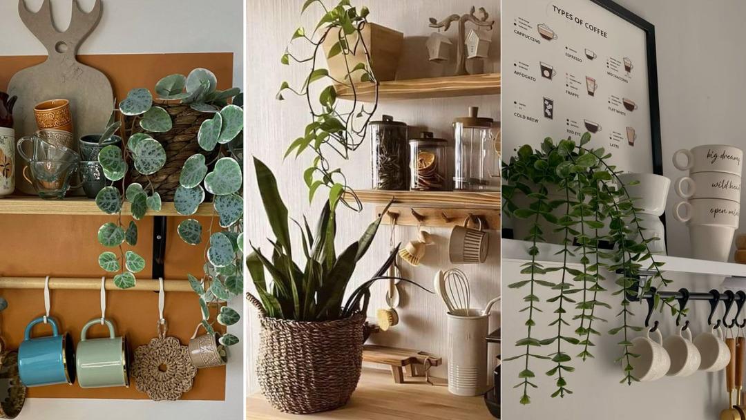 Evdeki imkanlarla mutfağınızı havalı bir kahveciye dönüştürecek 10 ipucu 4