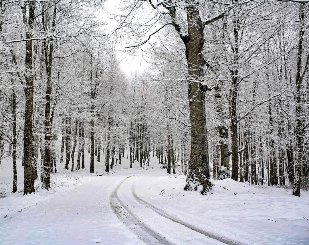 Trabzon, Malatya, Kars, Ağrı, Bitlis, Erzurum, Van, Sivas, G&uuml;m&uuml;şhane, Bing&ouml;l, Erzincan, Tunceli ile Ordu da eğitime kar engeli 1