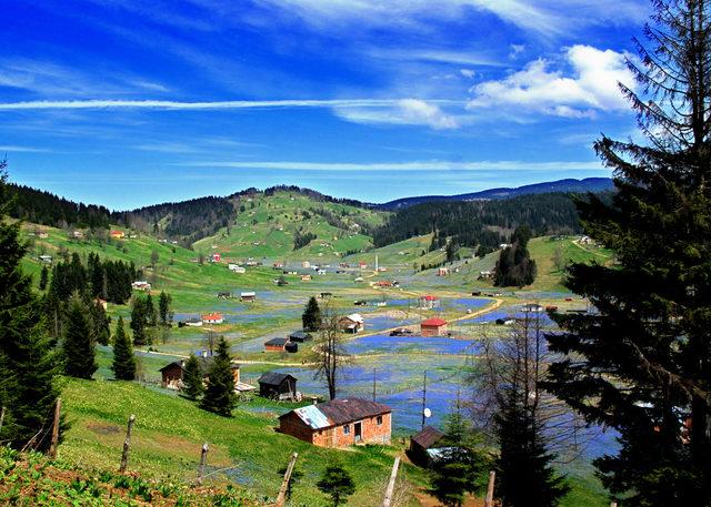 'Mor yayla'ya ziyaretçi akını