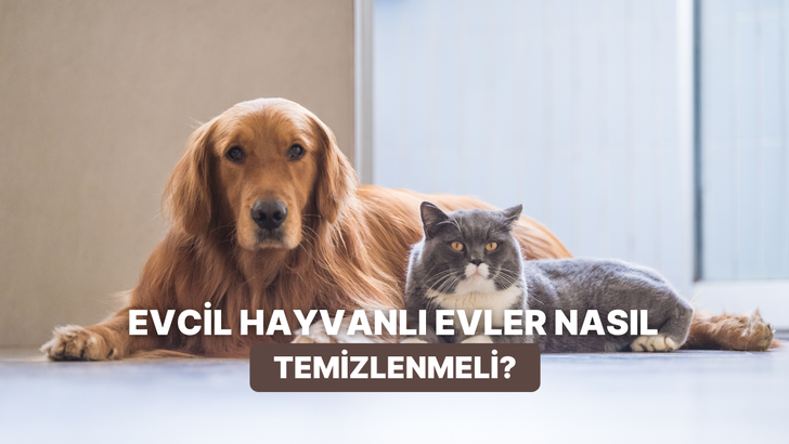 Evcil hayvanıyla yaşanlara &ouml;zel temizlik t&uuml;yoları