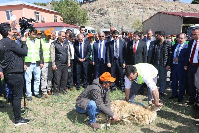 Elazığ’da kadroya geçen 179 işçi, iş başı yaptı