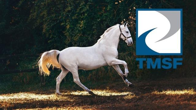 TMSF at satışına başladı