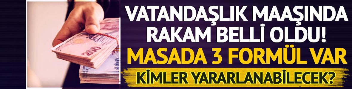 Vatandaşlık maaşında rakam belli oldu! Masada 3 form&uuml;l var: Kimler faydalanabilecek?