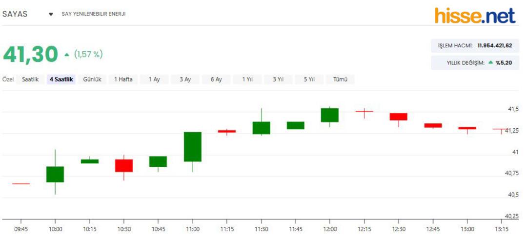 SAY Yenilenebilir Enerji ihaleyi kazandı! İşte SAYAS hissesinde son durum 1