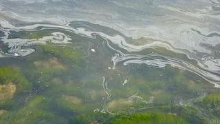 275 milyar ton su hareket etsede yarım yüzyıldır hala ölü bölge