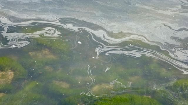 275 milyar ton su hareket etsede yarım yüzyıldır hala ölü bölge