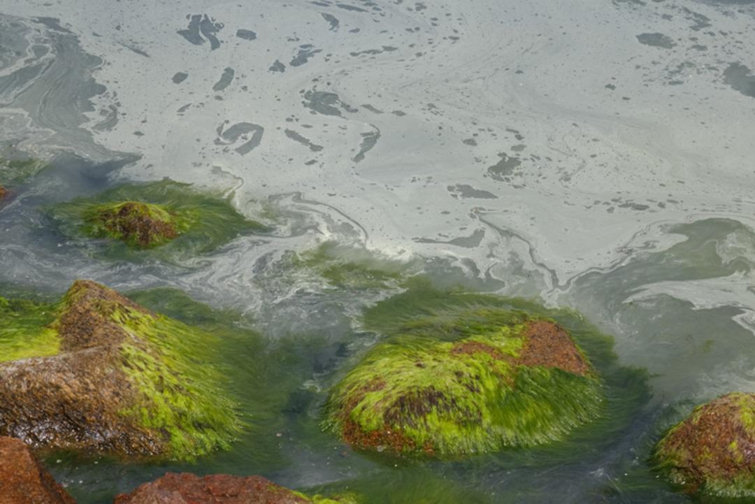 275 milyar ton su hareket etsede yarım y&uuml;zyıldır hala &ouml;l&uuml; b&ouml;lge 1