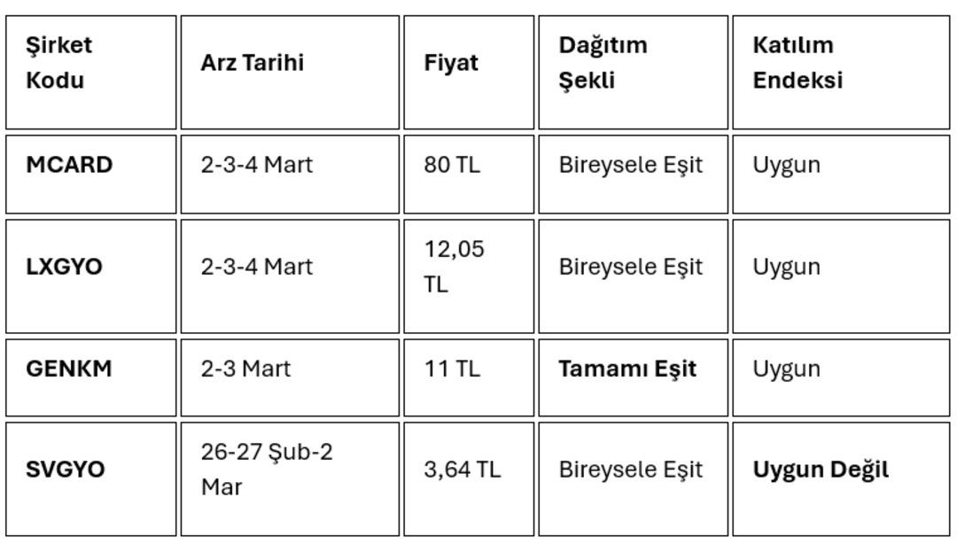 Halka arz takvimi: SVGYO, LXGYO, MCARD, GENKM… Şirketler peş peşe sıralandı! İşte halka arzlarla ilgili tüm detaylar 5