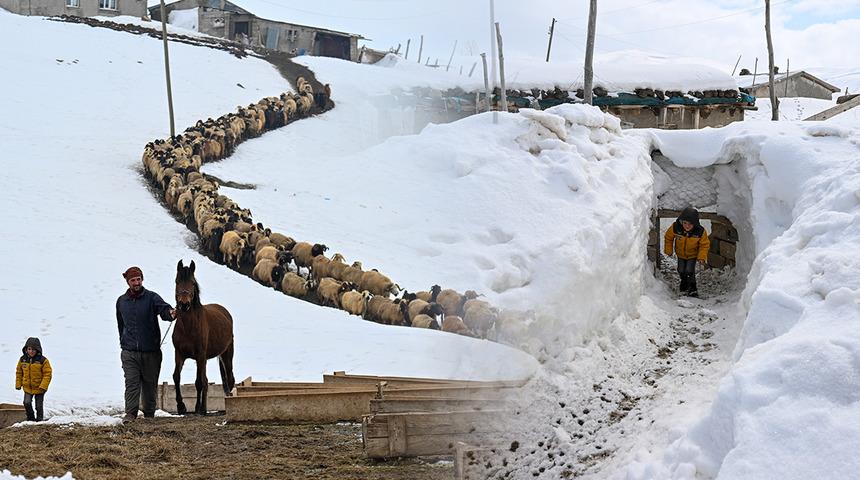 G&ouml;r&uuml;nt&uuml;ler Van'dan geldi: 9 yıllık inat, g&ouml;r&uuml;lmemiş esaret... Herkes gitti, bir tek onlar kaldı