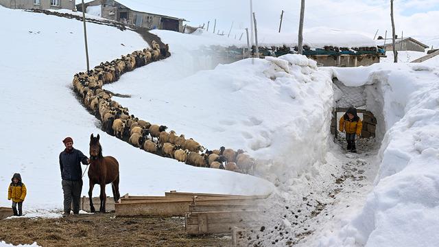 Görüntüler Van'dan geldi: 9 yıllık inat, görülmemiş esaret... Herkes gitti, bir tek onlar kaldı