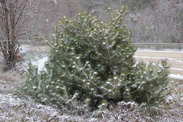 &Ccedil;orum&rsquo;da kar yağışı etkili oluyor 6