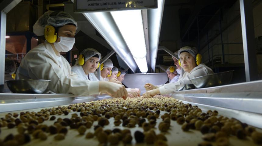 Fındıktan 1,2 milyar dolarlık ihracat geliri