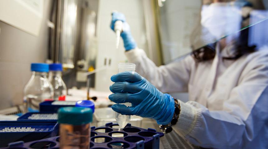 Kansere karşı yeşil kalkan! Oxford&rsquo;un son araştırması ezber bozdu