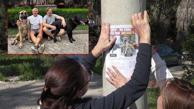 Canlı bulana 100 bin, &ouml;l&uuml; bulana 10 bin lira &ouml;d&uuml;l verilecek!