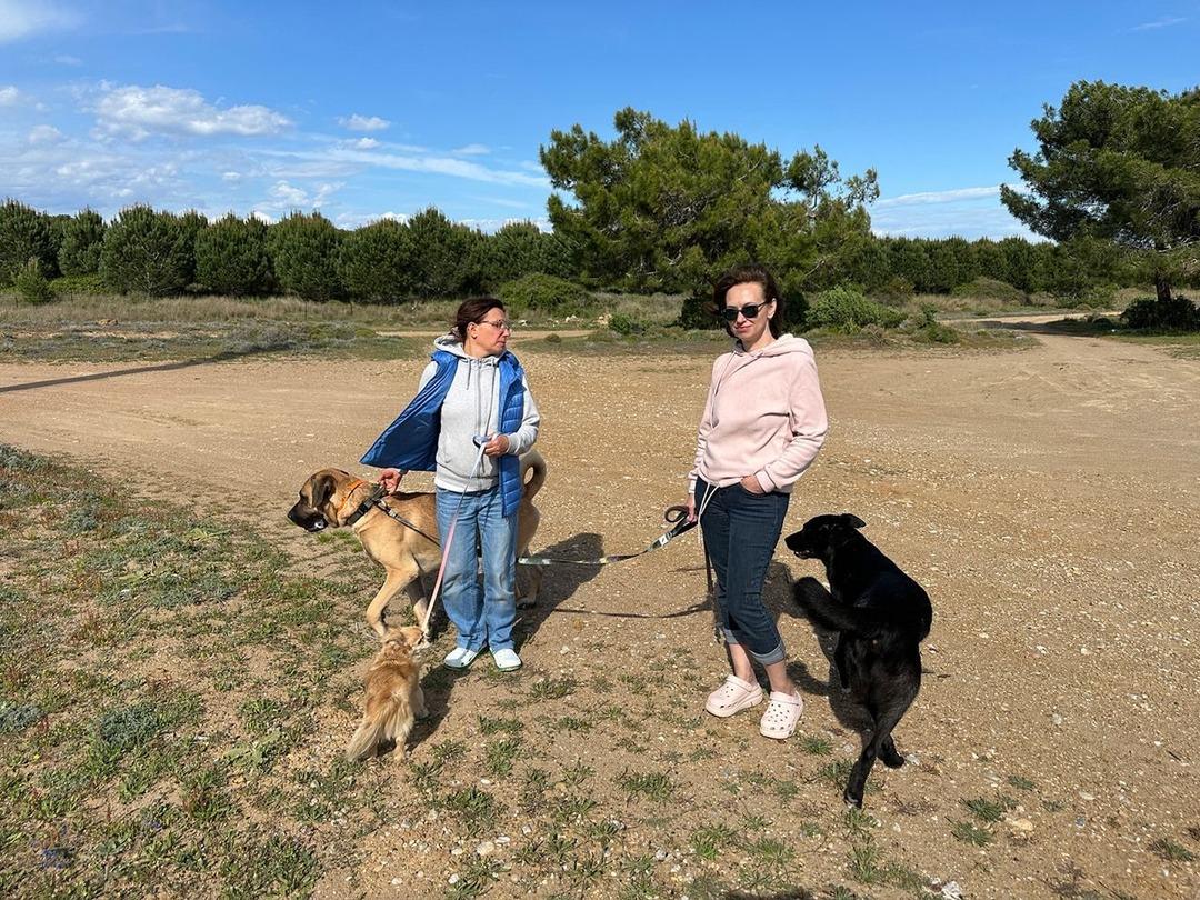 Ruslar Antalya da binlerce ilan bastırdı: Canlı bulana 100 bin, &ouml;l&uuml; bulana 10 bin lira &ouml;d&uuml;l! 4