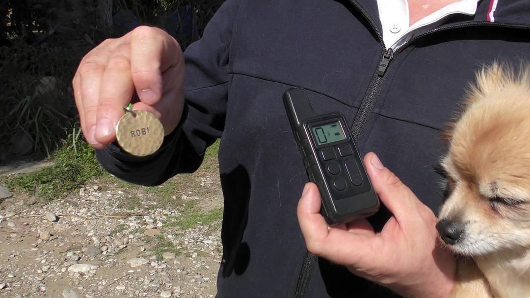 Ruslar Antalya da binlerce ilan bastırdı: Canlı bulana 100 bin, &ouml;l&uuml; bulana 10 bin lira &ouml;d&uuml;l! 2