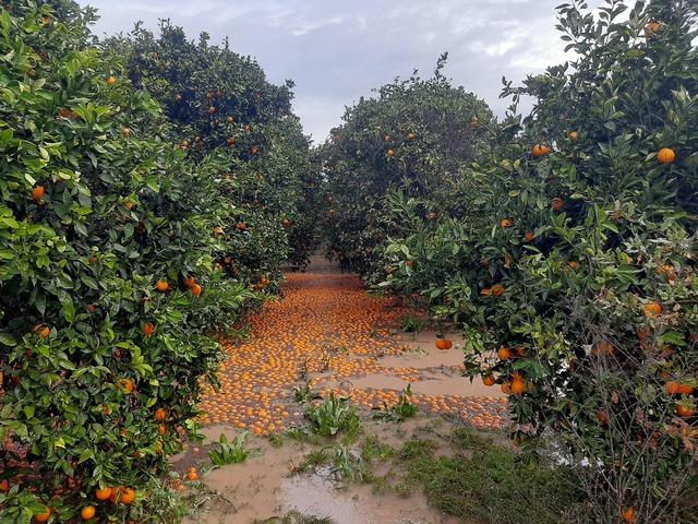 Antalya da fırtına, hortum ve selin faturası 3 milyar TL 5