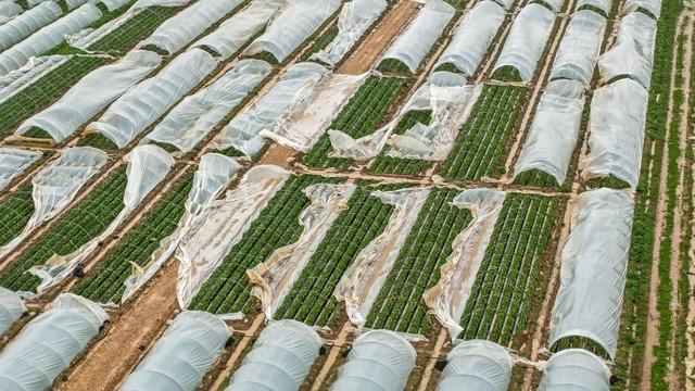 Antalya'da fırtına, hortum ve selin faturası 3 milyar TL