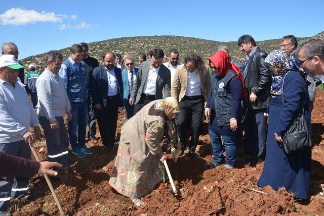 Şehit Yasin Naci Ağaroğlu için hatıra ormanı