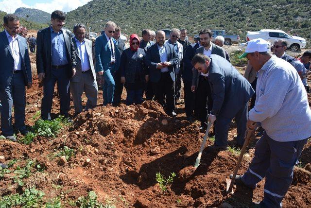 Şehit Yasin Naci Ağaroğlu için hatıra ormanı