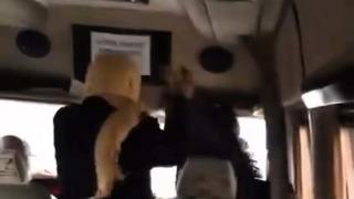 Minibüste kadınların 'sigara içme' kavgası kamerada